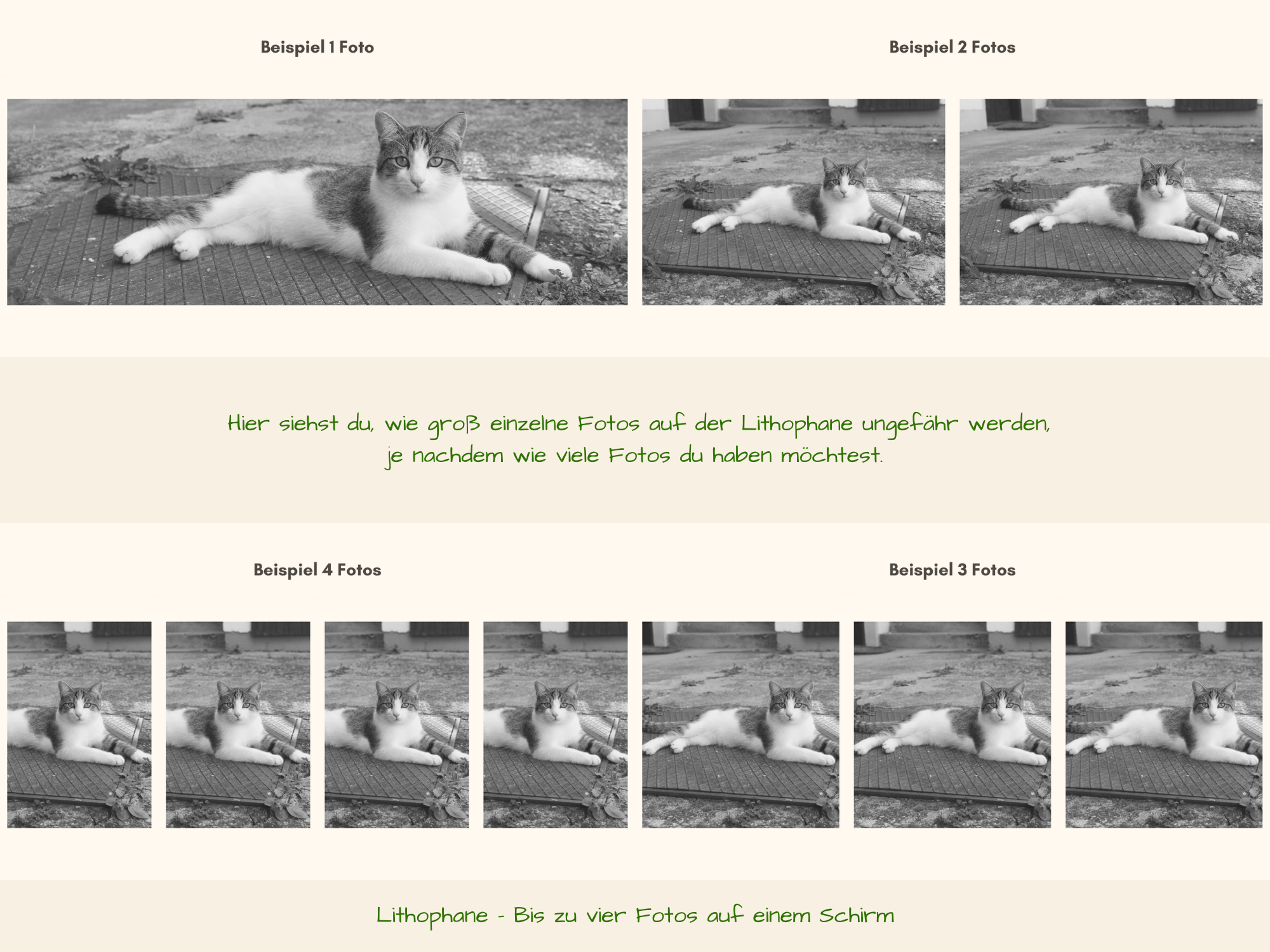 Lithophane Fotoleuchte 15cm für Lampenfuß E14 (1-4 Fotos)