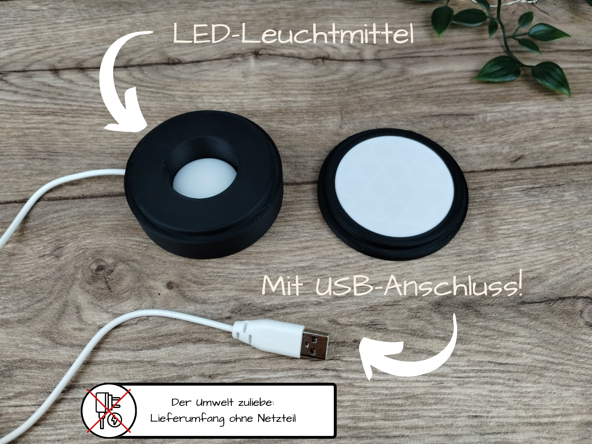 Lithophane Fotoleuchte 21cm mit USB LED Leuchtmittel (1-2 Fotos)